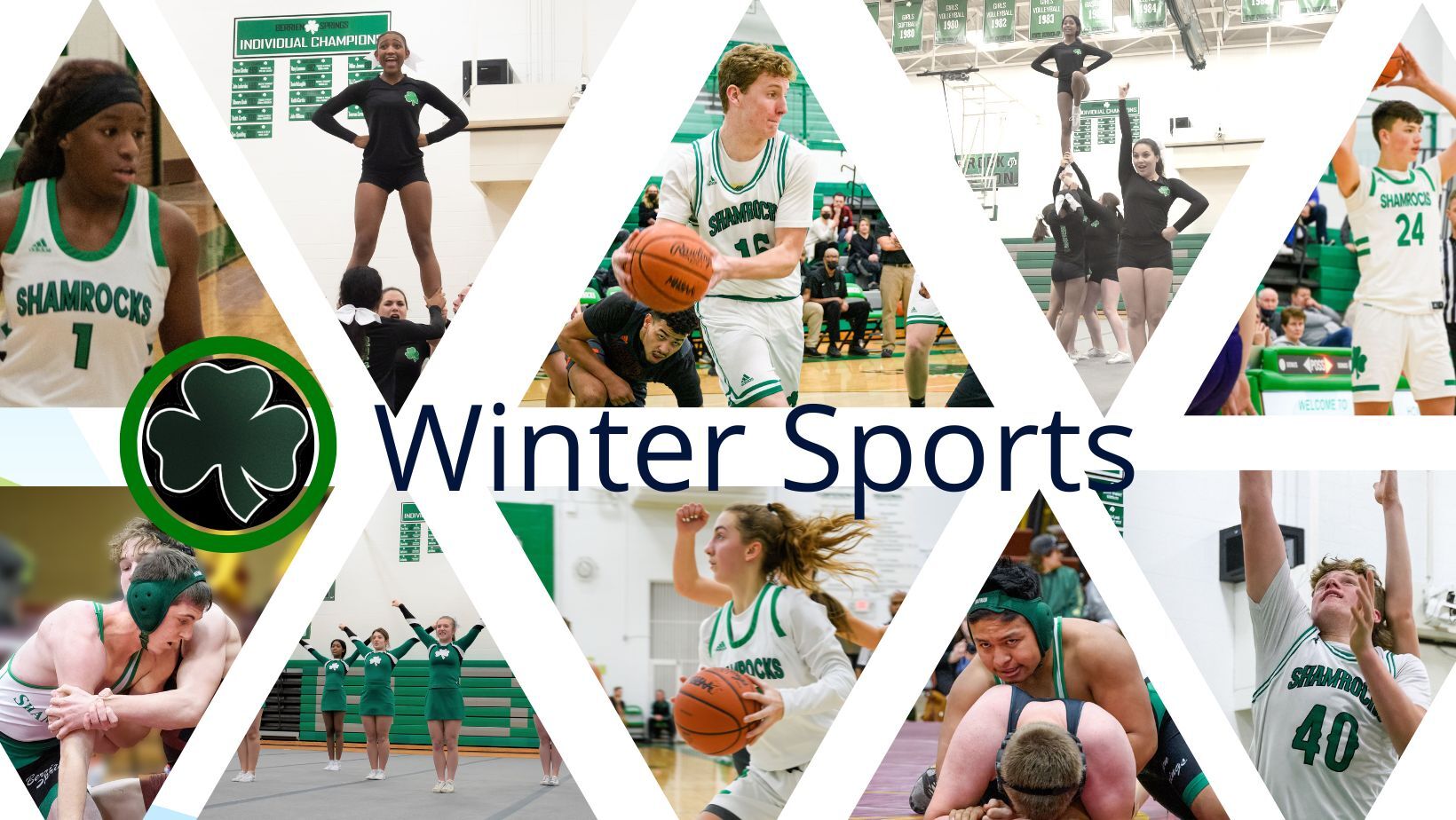 Winter Sports Collage