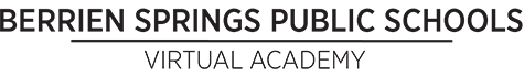 BSPS Virtual Academy